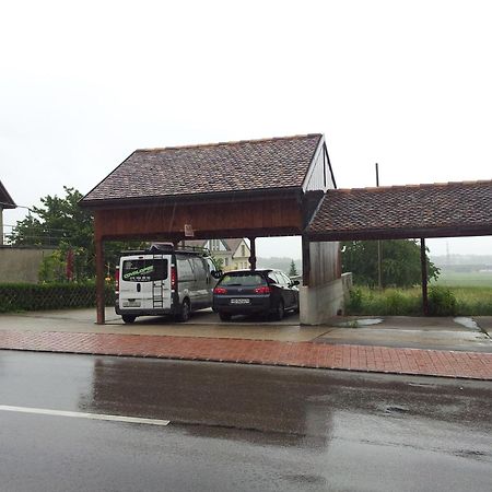 Au Coeur Du Vignoble Sur Bursins Bed and Breakfast Exteriör bild