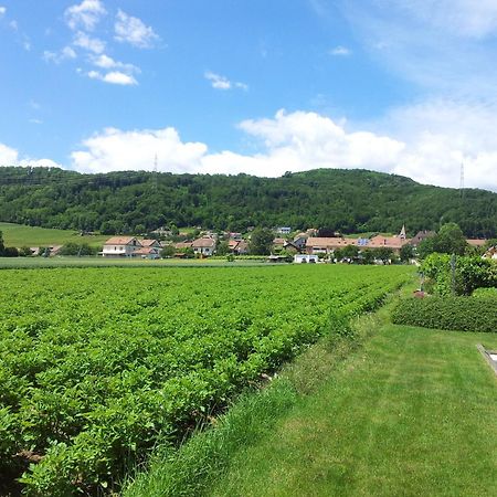 Au Coeur Du Vignoble Sur Bursins Bed and Breakfast Exteriör bild